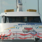 Karly Floats in Use - Whalesong Cruises