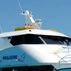 Karly Floats in Use - Whalesong Cruises